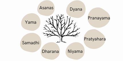 branches_yoga