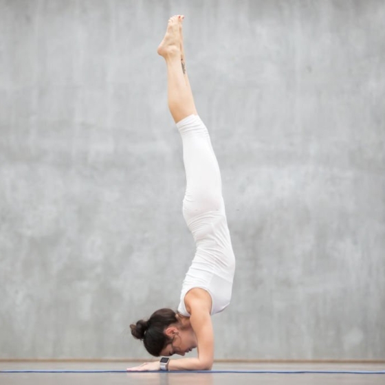 Pincha Mayurasana posture de yoga d'équilibre