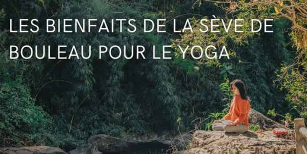 Les bienfaits de la sève de bouleau pour le yoga