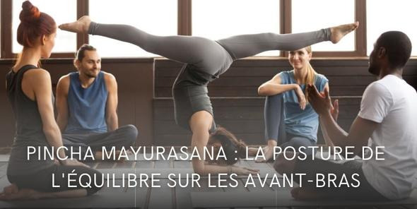 Pincha mayurasana : une posture de yoga d’équilibre sur les avant-bras